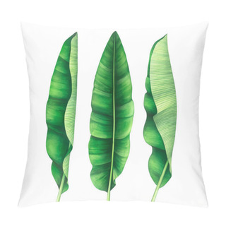 Personality  Tropical Banana Leaves Set. Watercolor Illustration. Pillow Covers