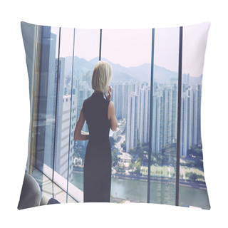 Personality  Female CEO Is Calling Via Cell Telephone, While Is Standing In Office Interior Near Window With Cityscape View And Copy Space Pillow Covers