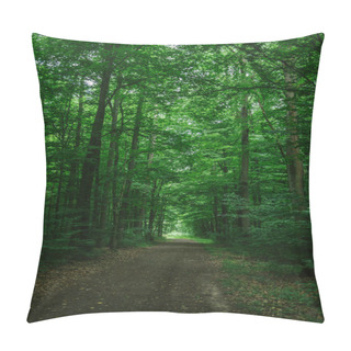 Personality  Narrow Road In Green Beautiful Forest In Wurzburg, Germany Pillow Covers
