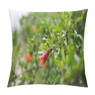 Personality  Red Flower Bud Of Pomegranate Among The Green Foliage On The Tree Branches. Pillow Covers
