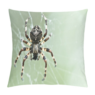 Personality  Spider In Web Pillow Covers