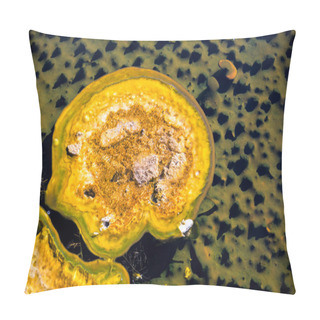 Personality  Closeup Of A Bacteria Mat Pillow Covers