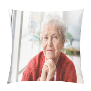 Personality  Portrait Of Senior Woman At Home Pillow Covers