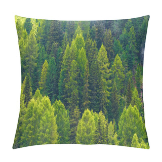 Personality  Dense Forest Of Wild Pine Trees Form A Beautiful Green Natural Backdrop Pillow Covers