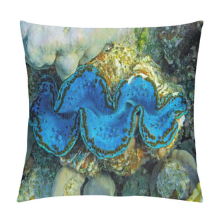 Personality  Underwater View Of A Giant Clam (Tridacna Gigas) With Blue Lips Pillow Covers