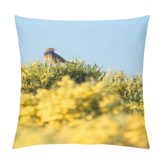 Personality  Bluethroat Bird Luscinia Svecica In Colorful Spring Pillow Covers