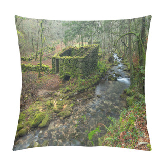 Personality  The Ruins Of An Old House Along The Fraga River In The Community Of Galicia Pillow Covers