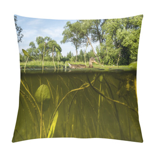 Personality  Duck Swims In The Lake View Under Water On The Algae And The Wat Pillow Covers