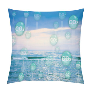 Personality Recent Scientific Research Shows That 1/3 Of Anthropogenic CO2 Carbon Dioxide Emissions Are Absorbed By The Oceans Causing Warming Of The Seas And Acidification Of The Waters  Pillow Covers