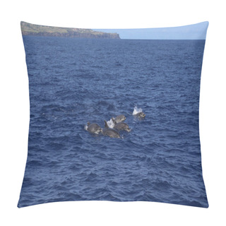 Personality  Dolphins Jumping Out Of Water, In Nature, On The Ocean. Pico, Azores Pillow Covers