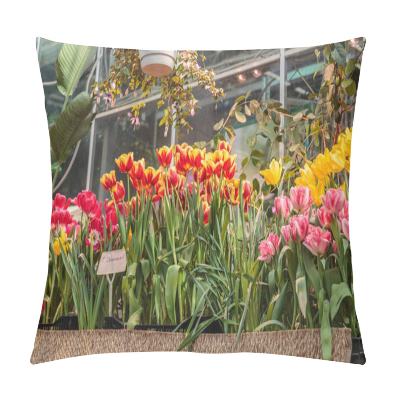 Personality  Flowers In Green House. Floral Bouquet Shop. Blooming Plants And Multi Color Flowers Inside A Garden Center Pillow Covers