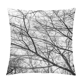 Personality  Tree Branches Silhouette On White Background Pillow Covers