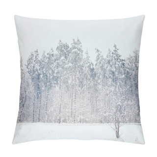 Personality  Scenic View Of Snowy Trees In Winter Forest Pillow Covers