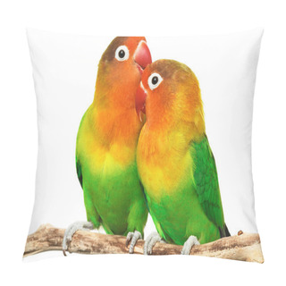 Personality  Pair Of Lovebirds Pillow Covers