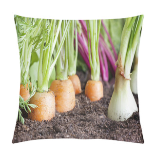Personality  Many Fresh Organic Vegetables Growing In The Garden Closeup Pillow Covers