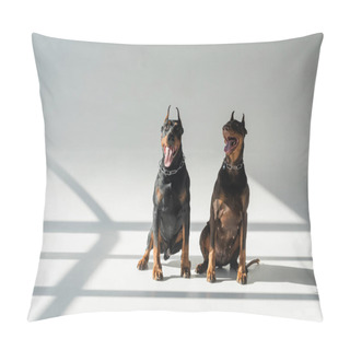 Personality  Dobermans In Chain Collars Sitting On Grey Background With Shadows Pillow Covers