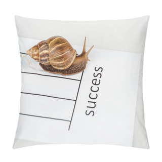 Personality  Slimy Brown Snail On White Paper With Success Lettering Isolated On White Pillow Covers