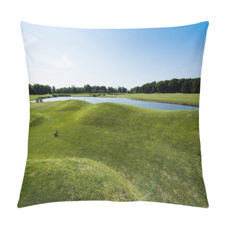 Personality  Wild Duck Walking On Green Grass Near Pond In Park Pillow Covers