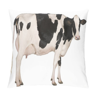 Personality  Holstein Cow, 5 Years Old, Standing In Front Of White Background Pillow Covers