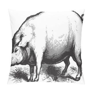 Personality  Swine Pillow Covers
