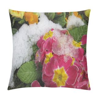 Personality  The Blooming Flowers In Spring Time With A Snow Pillow Covers