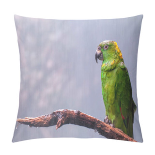 Personality  Amazon Parrot In The Jungle Under A Fine Rain. Pillow Covers