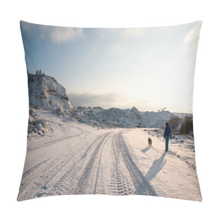 Personality  Woman And Dog Walking On Snowy Road Pillow Covers