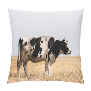 Personality  Black And White Cow Standing In Golden Field  Pillow Covers