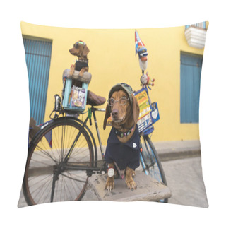 Personality  Funny Photo Of Two Dachshunds Dressed And Wearing Glasses In Cuba. Pillow Covers