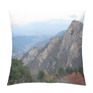 Personality  Seoraksan National Park Pillow Covers