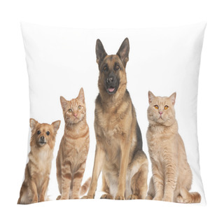 Personality  Group Of Dogs And Cats Sitting In Front Of White Background Pillow Covers
