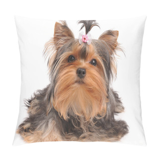 Personality  Yorkshire Terrier With Small Bow Pillow Covers