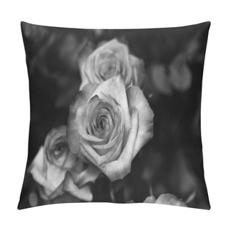 Personality  Roses In Black And White Pillow Covers
