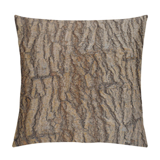 Personality  Close Up Old Dry Tree Brown Bark Background And Texture Pillow Covers