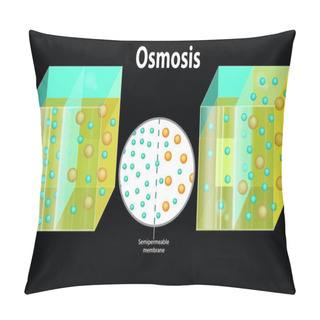 Personality  Reverse Osmosis. Process. Water Passing Through A Semi-permeable Membrane Pillow Covers