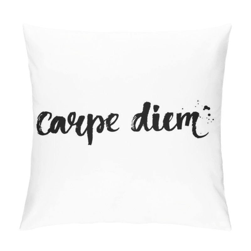 Personality  Carpe diem - latin phrase pillow covers