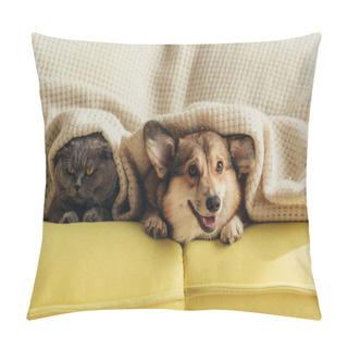 Personality  Cat And Dog Lying Under Plaid On Sofa  Pillow Covers