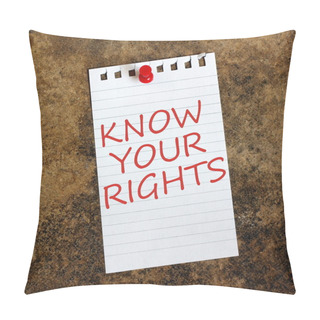Personality  Know Your Rights Pillow Covers