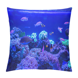 Personality  Tropical Fishes With Corals Pillow Covers