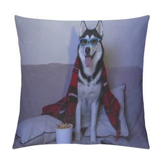 Personality  Funny Husky Dog Watching TV On Soft Sofa At Home Pillow Covers