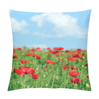Personality  Red Poppies Wildflowers Spring Season Pillow Covers