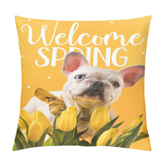 Personality  French Bulldog Dog And Beautiful Yellow Tulips With WELCOME SPRING Sign Pillow Covers