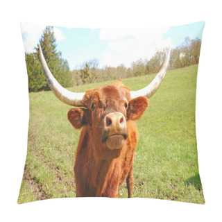 Personality  Longhorn Pillow Covers