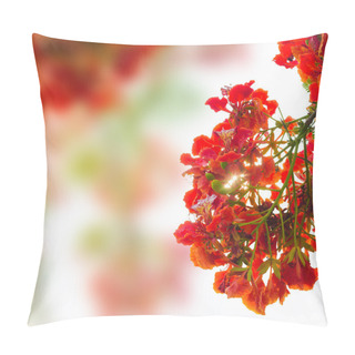 Personality  Red Flower Peacock Pillow Covers