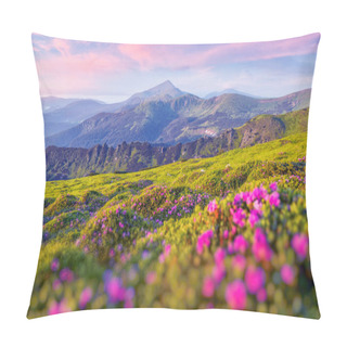 Personality  Pink Rhododendron Flowers In Mountains Pillow Covers