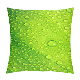 Personality  Beautiful Green Leaf With Drops Of Water Pillow Covers