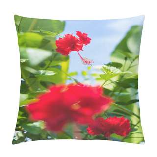 Personality  Beauty Of Tropical Island: Bright Red Hibiscuses, In Focus And Defocused, Between Green Foliage Under Blue Summer Sky. Travel The World And Explore Exotic Flora Of Hawaii. Pillow Covers