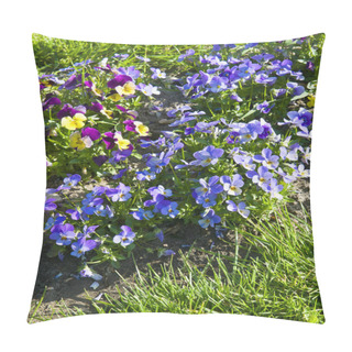 Personality  Multicolor Pansy Flowers Or Pansies As Background Or Card. Field Of Colorful Pansies With White Yellow And Violet Pansy Flowers On Flowerbed . Vertical Photo. Pillow Covers