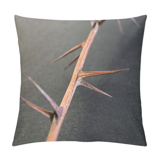 Personality  Thorns, Dry Thorns And Pointed Needles Standing On Black Ground, Pillow Covers