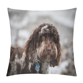 Personality  Beautiful Australian Labradoodle Dog Pillow Covers